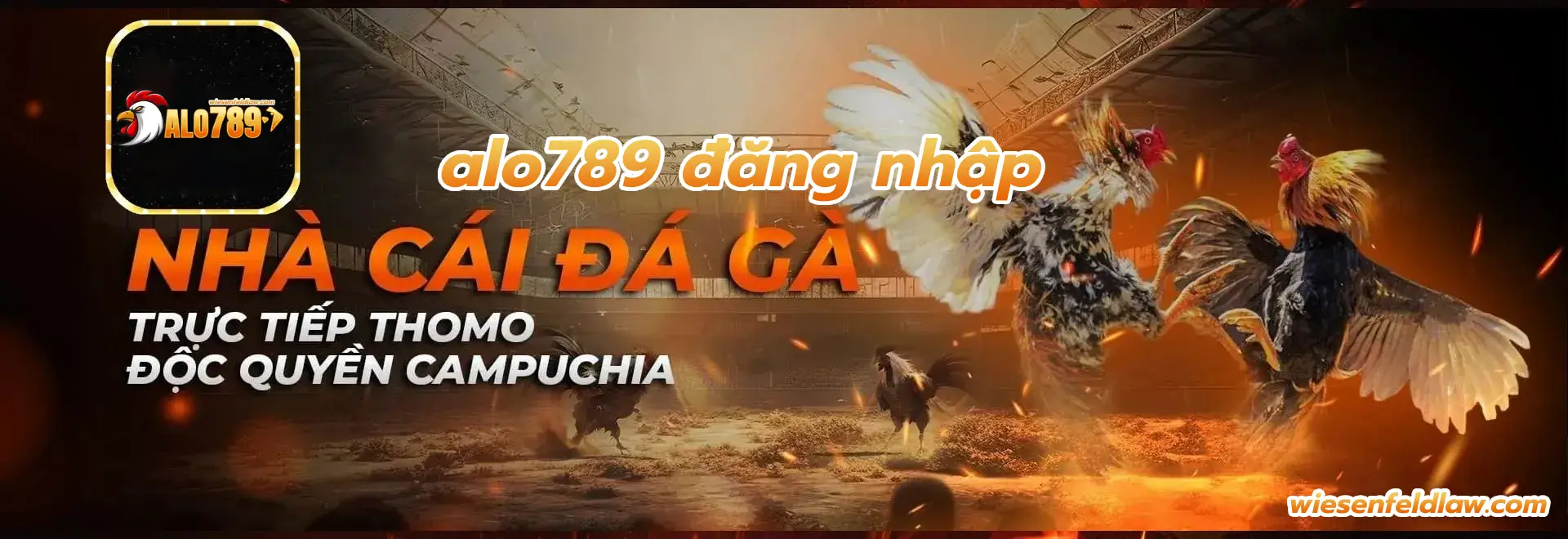 alo789 đăng nhập